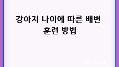 우리 강아지 건강하게 키우기: 배변 훈련 완벽 가이드