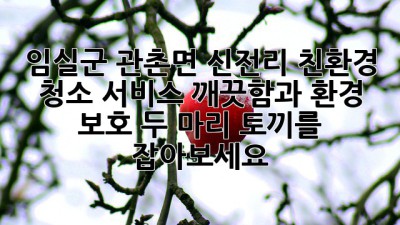 임실군 관촌면 신전리 친환경 청소 서비스: 깨끗함과 환경 보호, 두 마리 토끼를 잡아보세요!